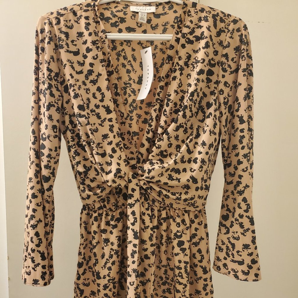 Topshop Dress
